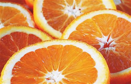 Фермеры Португалии вынуждены бесплатно раздавать апельсины