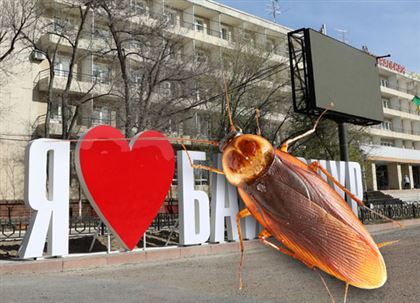 «Живем с тараканами размером с мизинец»: Байконыр оккупировали блохи, клопы и тараканы