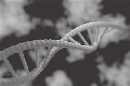 Какие ДНК-исследования популярны среди алматинцев