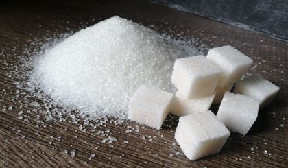 Глава государства поручил в кратчайшие сроки запустить простаивающий в Жетысуской области сахарный завод 