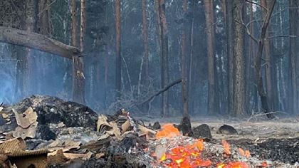 Пожары по Костанайской области: министерство экологии подсчитало сумму ущерба