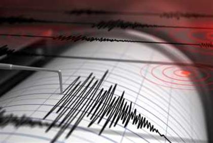Землетрясение зафиксировали сейсмологи на границе Казахстана и Узбекистана