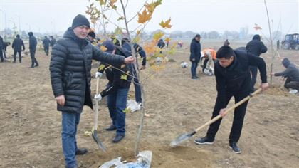 В Жамбылcкой области в одном из парков высадили 600 деревьев
