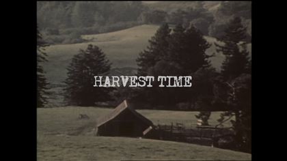 Вышел трейлер документального фильма о Ниле Янге «Harvest Time»