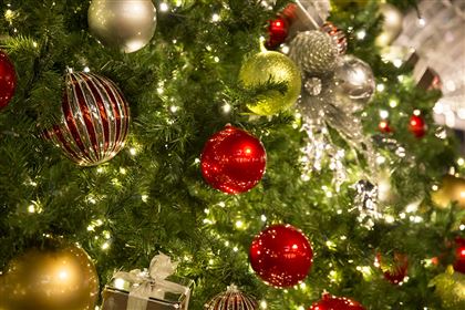 Главную новогоднюю елку Алматы установят на площади Абая