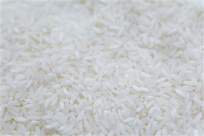 В Казахстане порядка 250 тысяч тонн запасов риса