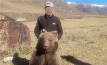Мужчина, сделавший фото на память с отстрелянным медведем, задержан в Жетісу 