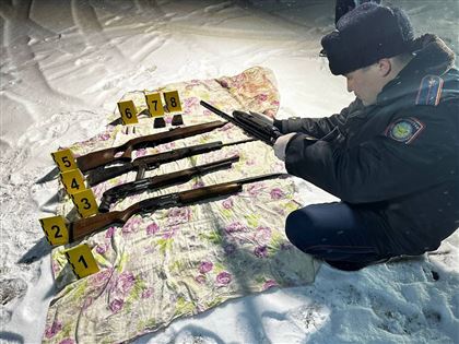 Очередной схрон с оружием обнаружили в Алматинской области
