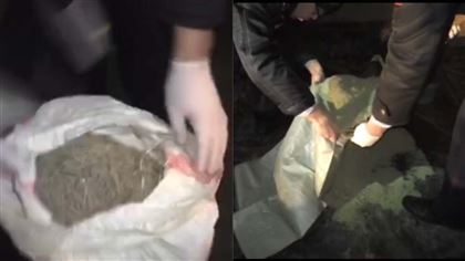 Двух сбытчиков наркотиков задержали в Жамбылской области 