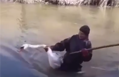 Проткнул птице бок: видео охоты на лебедя в Кызылорде попало в Казнет