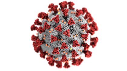 181 человек заболели коронавирусом за сутки