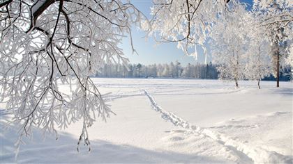 Какой будет погода восьмого января в Казахстане