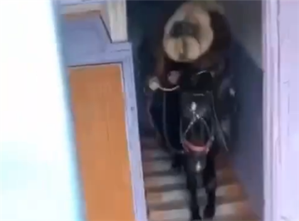 Мужчина катался на коне по подъезду пятиэтажного дома - видео