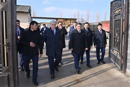 Подсобное хозяйство жителя села Костобе посетил глава государства 