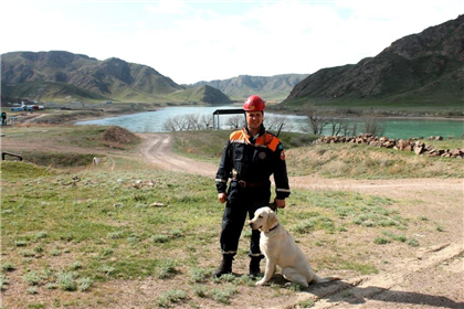 В МЧС рассказали, как собаки казахстанских спасателей помогают в поисках выживших в Турции