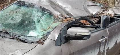 Упавшее дерево раздавило автомобиль в Алматы
