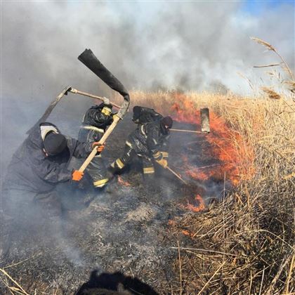 Вертолет задействовали в тушении камыша в Атырауской области