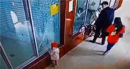 Маленькая девочка разбила стекло вольера в зоопарке Шымкента - видео