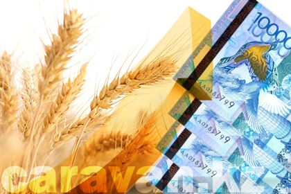 Цена на пшеницу растет в Казахстане в ожидании запрета на ввоз российского хлеба