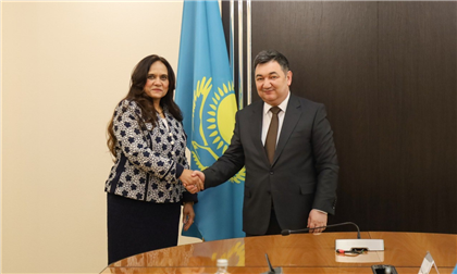 Казахстанский министр информации принял посла Египта в Казахстане