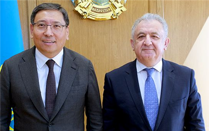 Досаев встретился с послом Турции