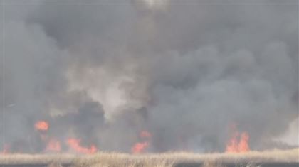 Около Петропавловска потушили крупный степной пожар