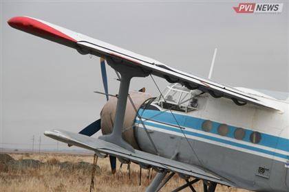 В Павлодаре с помощью авиации потравят гнус