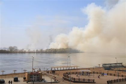 Вручную тушили пожар в пойме Иртыша в Павлодаре 