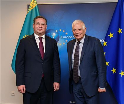Казахстан и ЕС обсудили, как сгладить для нашей страны последствия антироссийских санкций