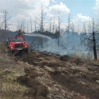 В Абайской области вторые сутки не могут потушить лесной пожар