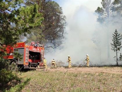 В Абайской области из-за лесного пожара объявлен режим ЧС