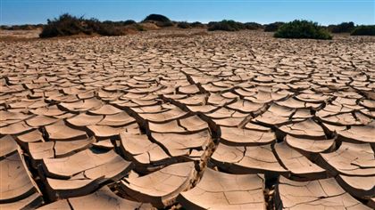 В пяти регионах РК из-за жары ожидается засуха