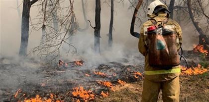 В тушении пожара в области Абай задействовано более 300 человек и 70 единиц техники - МЧС РК