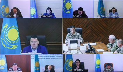 В правительстве обсудили ликвидацию пожара в Абайской области