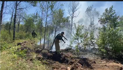 МЧС сообщило актуальную информацию о пожаре в Абайской области