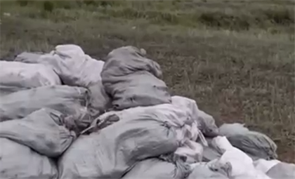 Несколько тонн моркови выбросили в Караганде
