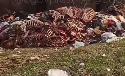 Жители Алматинской области выгрузили останки тел животных возле здания бизнесмена, выбрасывавшего их в степи - видео