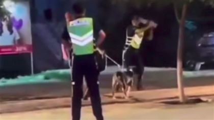 Житель Атырау натравил бойцовскую собаку на прохожих 