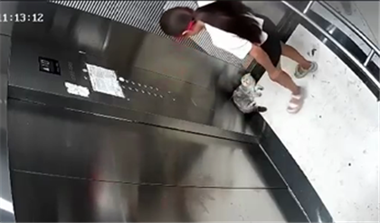 Девочка тайно избила кошку в лифте в Алматы - видео