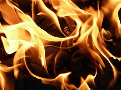 Пожар в Баянаульском заповеднике ликвидирован