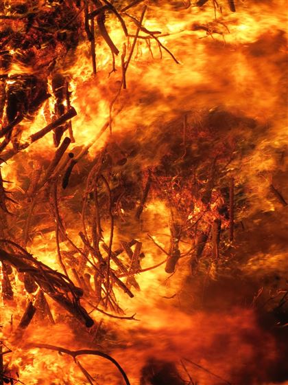 Пожар в Атырауской области охватил 830 гектаров