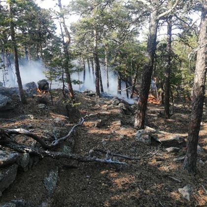 В Бурабайском районе на горе Кокше локализовали пожар