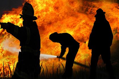 Крупный природный пожар локализовали в СКО
