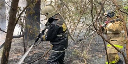 918 млн тенге выделят на спецодежду для работников лесных пожарных станций