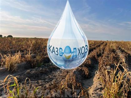 "На чью мельницу льют воду в Казводхозе?": в госкорпорации уверяют, что не виноваты в гибели урожая от засухи
