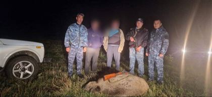 В Костанайской области полицейские выявили факт браконьерства 