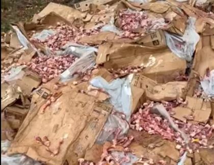 Свалку куриных отходов на лесопосадке сняли на видео жители Карагандинской области 