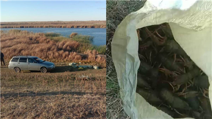 В Западном Казахстане двое браконьеров незаконно выловили 80 килограммов раков