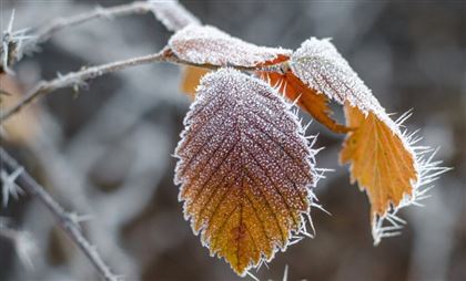 В Казахстане ожидаются 15-градусные морозы