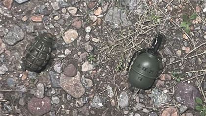 Тайник с боевыми гранатами обнаружили в Алматинской области